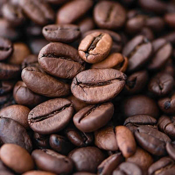 L’oro nero d’Etiopia: esportazioni di caffè da record superano i 1,8 miliardi di dollari