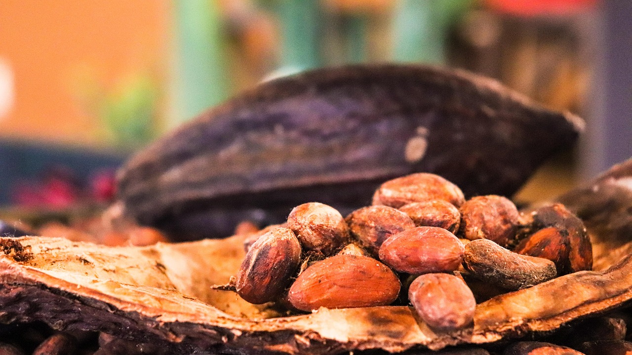 Rallentano le esportazioni di cacao della Costa d’Avorio e i prezzi di New York salgono