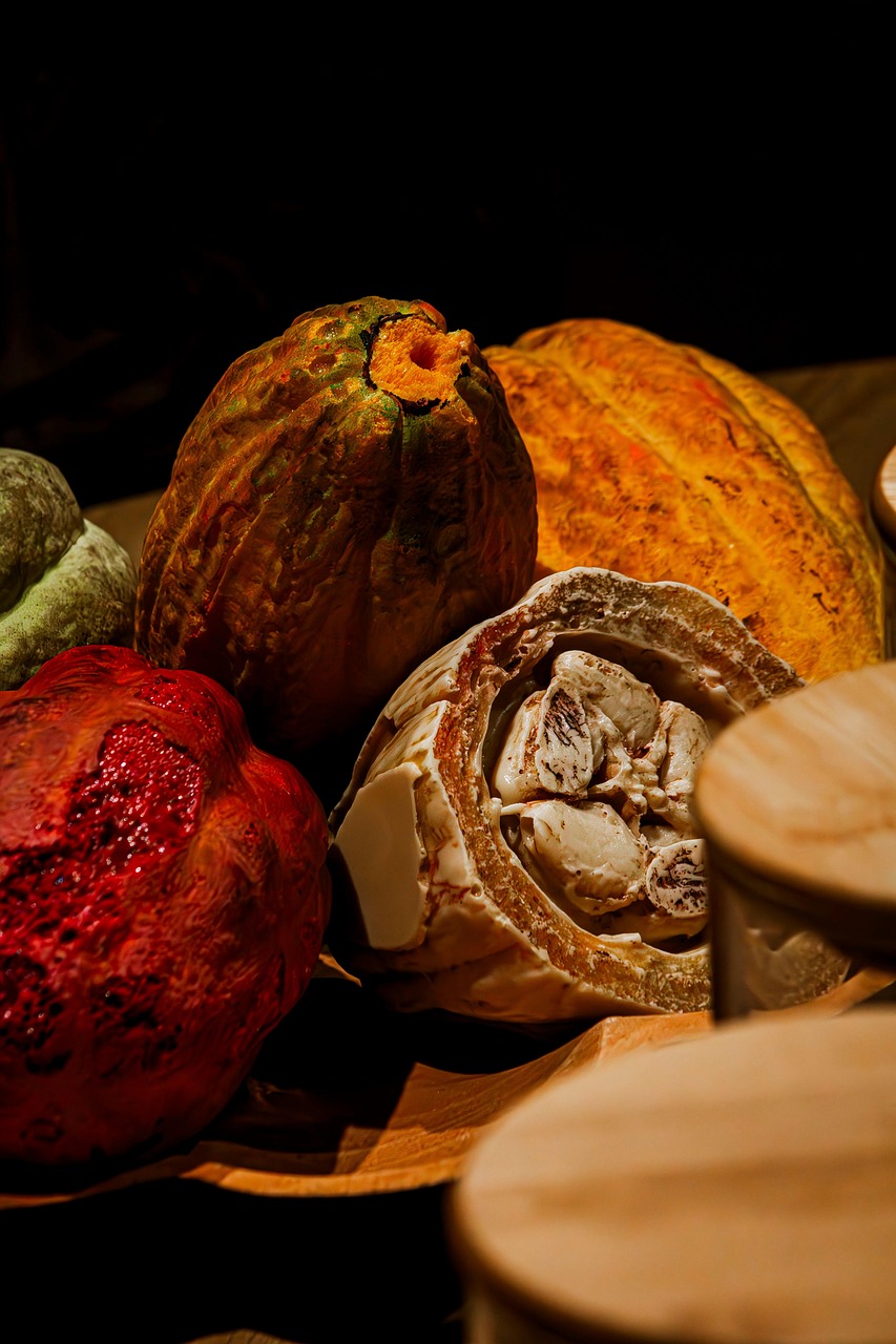 Cargill sospende la lavorazione del cacao in Costa d’Avorio